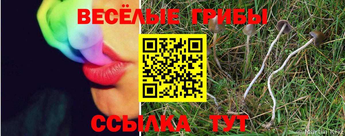 Псилоцибиновые грибы Magic Shrooms  Галлюциногенные грибы Psilocybine cubensis  Вход с VPN  Котлас 